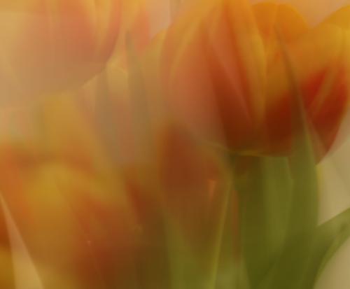 Omslagfoto 21 januari 206 - Tonen en bespreken van vrij werk